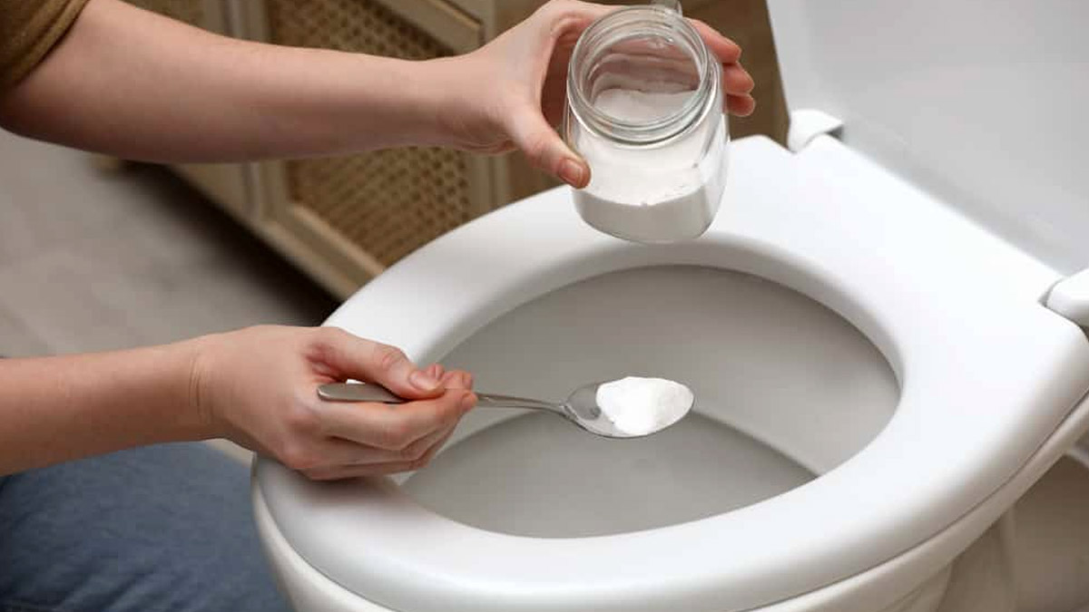 What things are needed