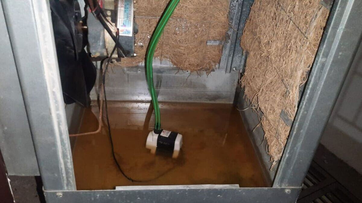 how to clean cooler tank