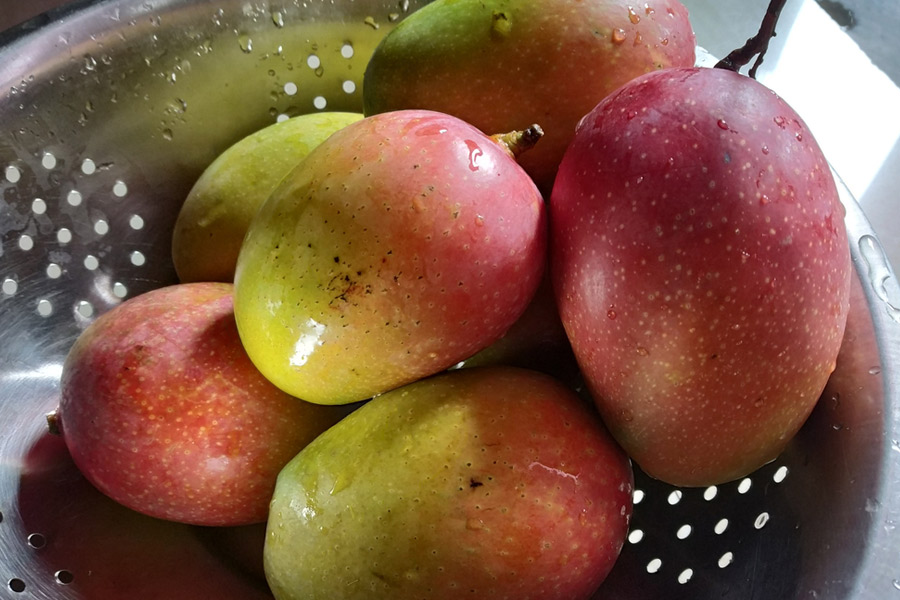 mango types in hindi