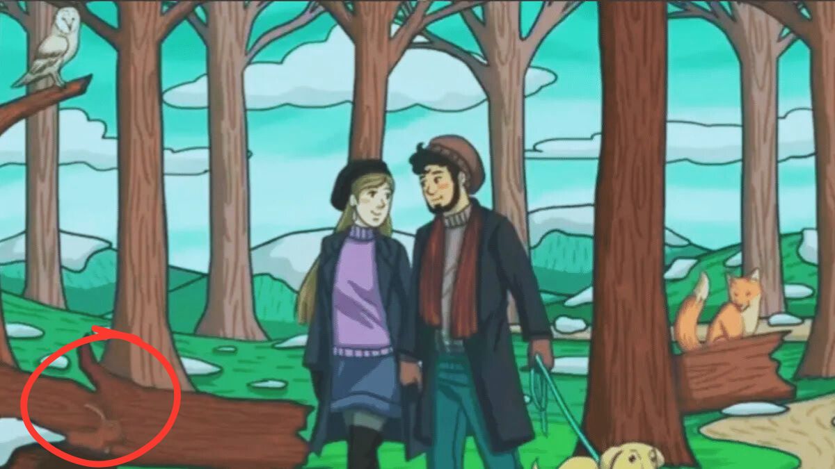 optical illusion hidden rabit