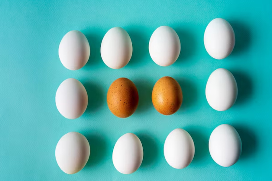 types of eggs
