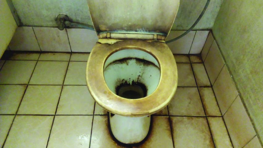 Toilet cleaning tips