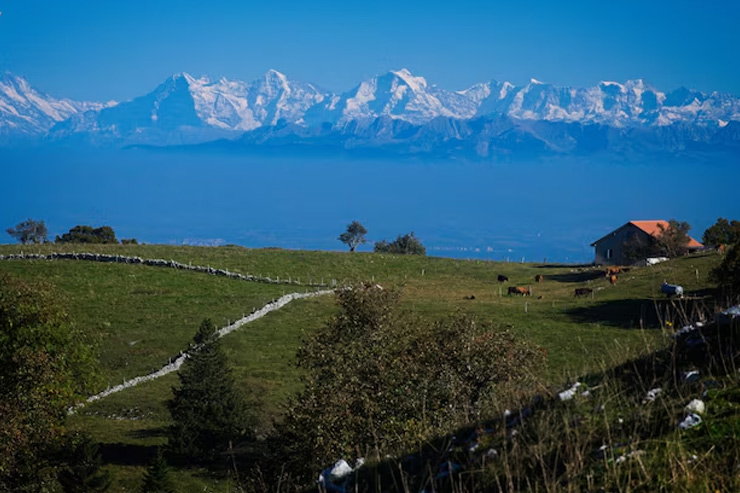 Why Kanatal is famous