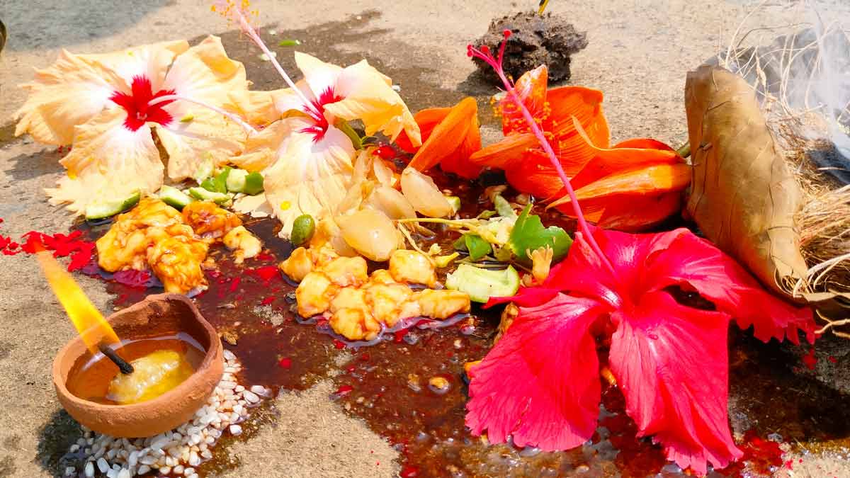 baglamukhi jayanti 2025 ki remedies