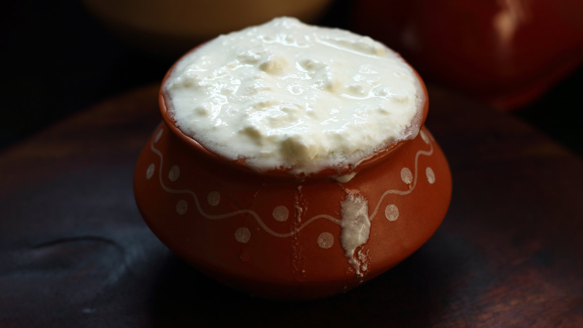 dahi in summer for probiotics