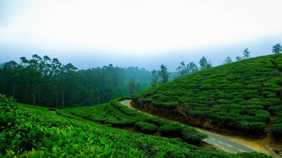 haflong hill station