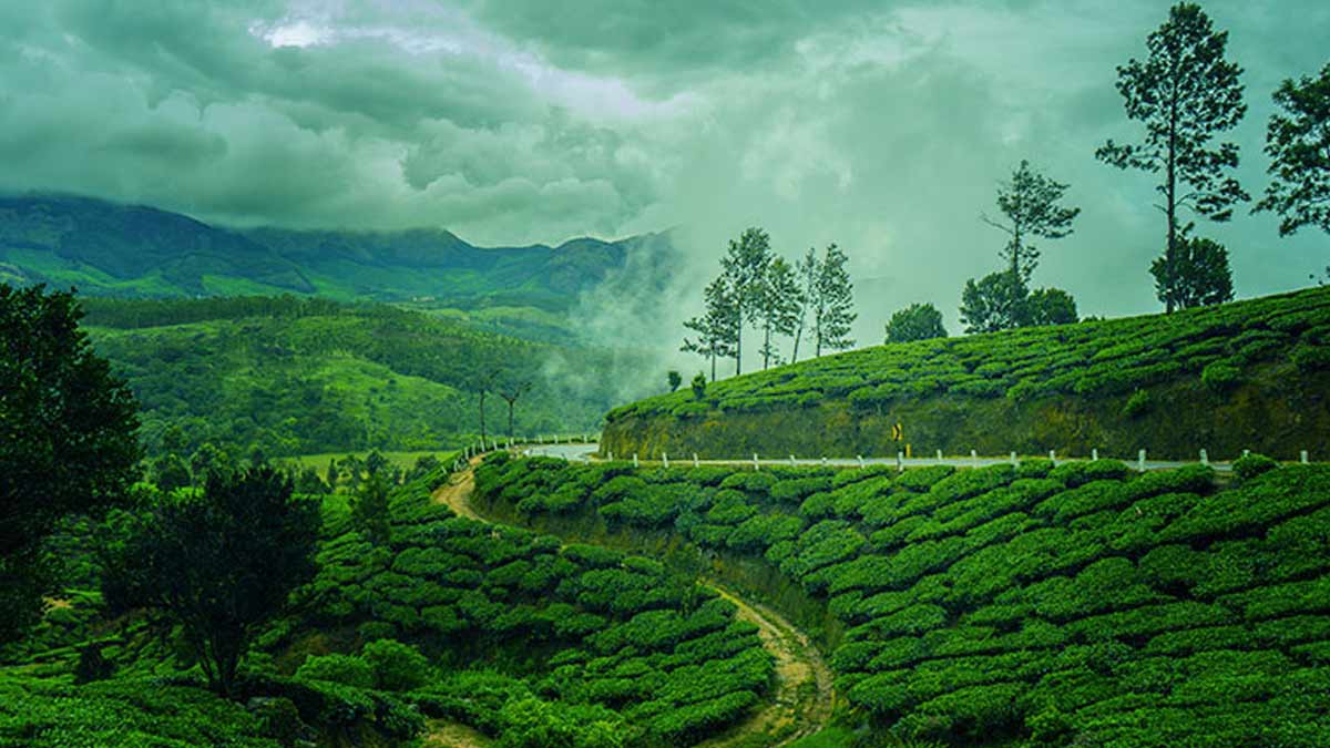 beautiful road trip places to visit in summersssss