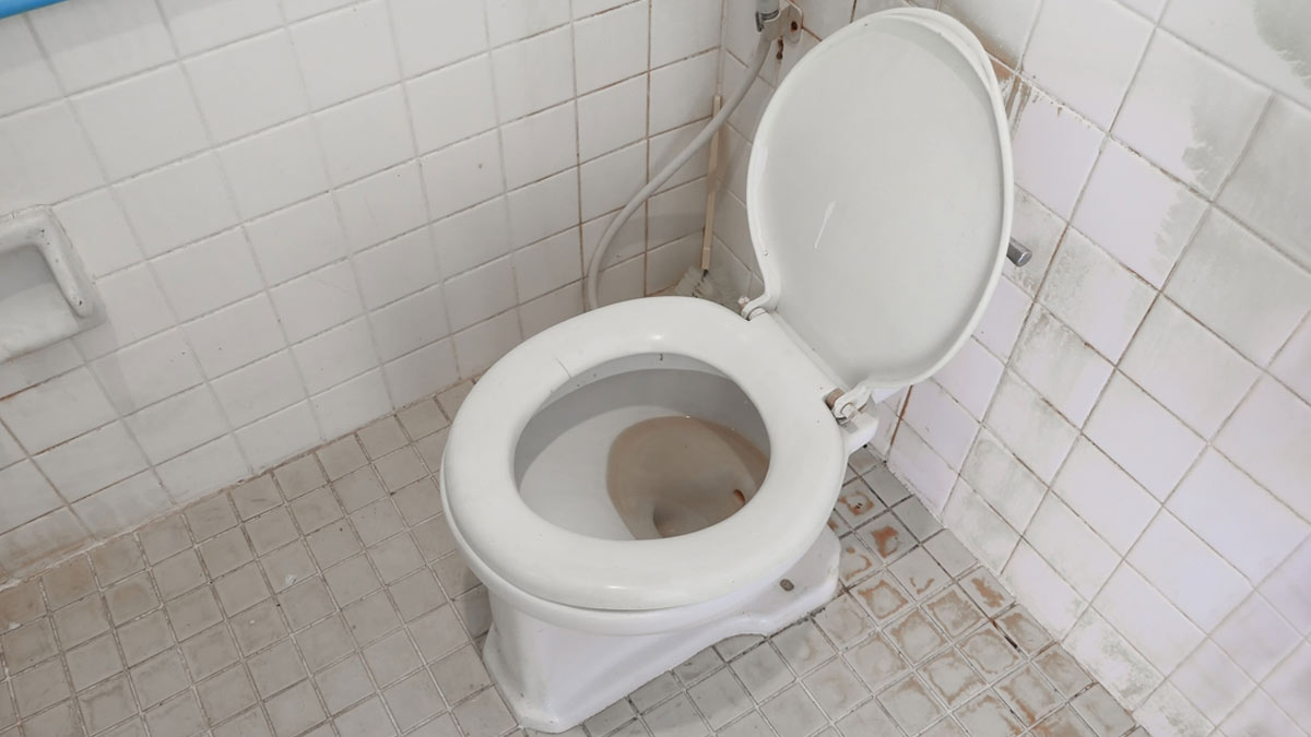 toilet cleaning tricks