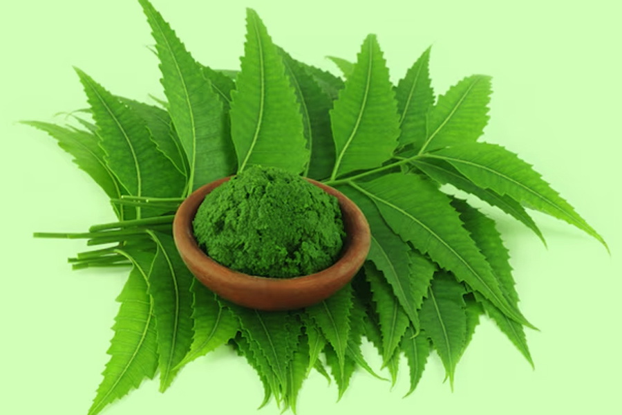 1 - 2025-05-07T225100.754