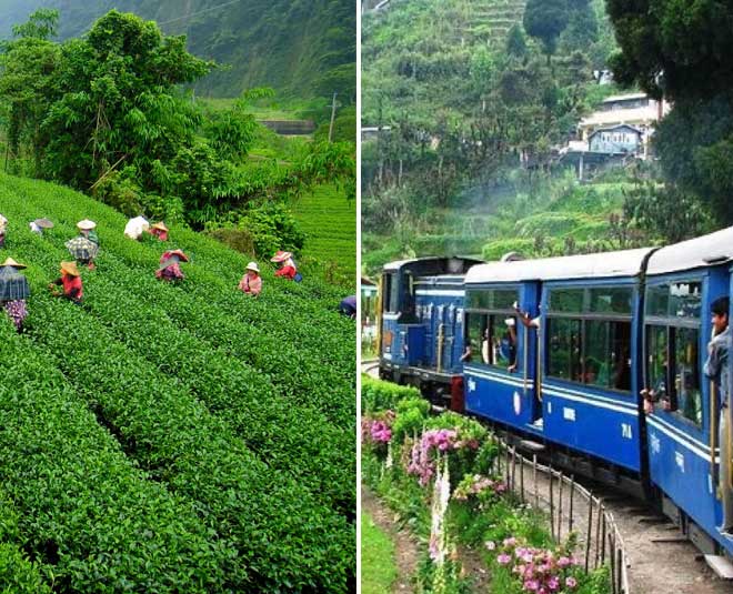 indias famous hill station irctc tour packages for mothers days
