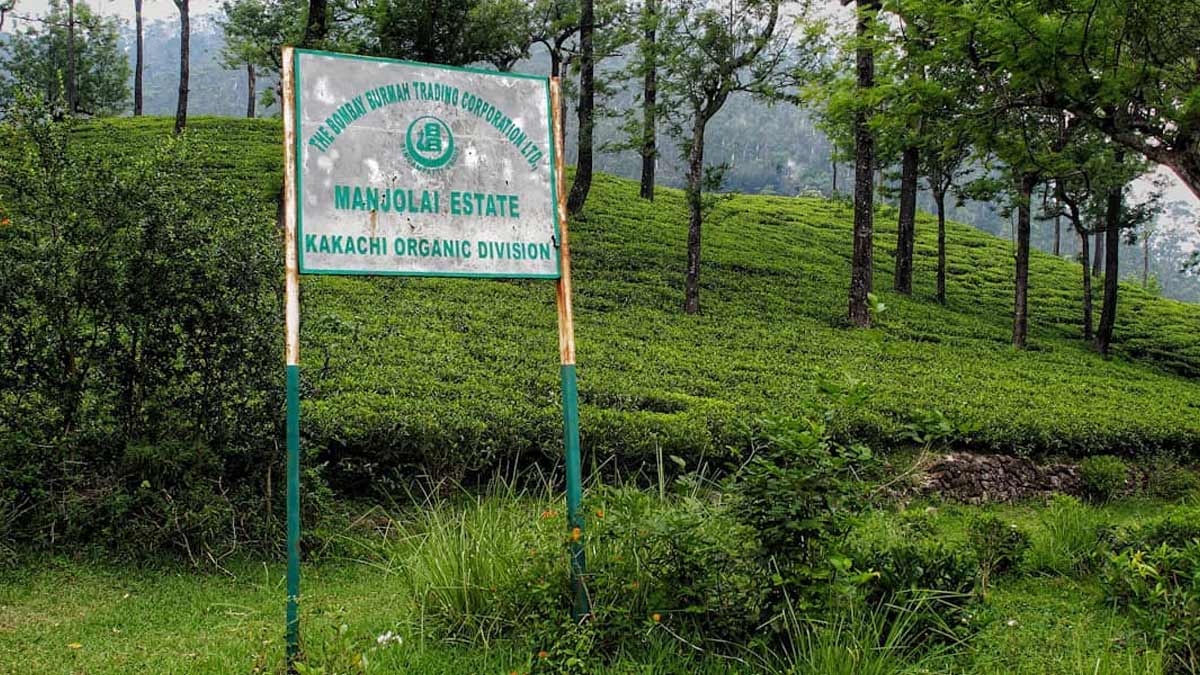 Best Places Near Manjolai