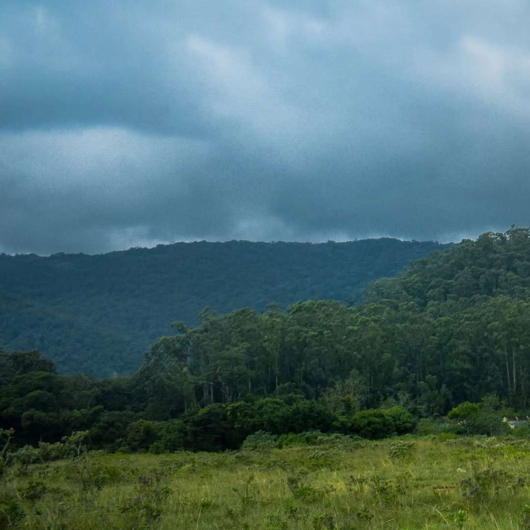 Why Manjolai Is Famous