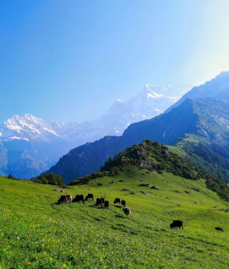 places near madhyamaheshwar temple