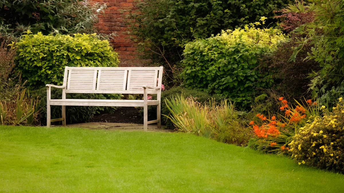 aravali biodiversity park