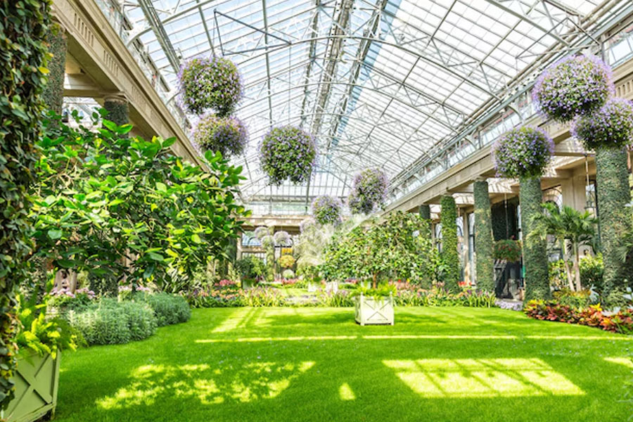 cyber hub green spaces