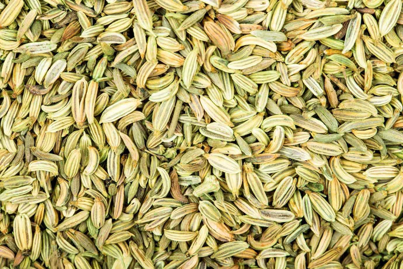 fenugreek