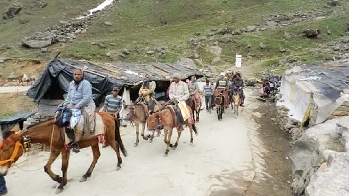 gaurikund to kedarnath horse price