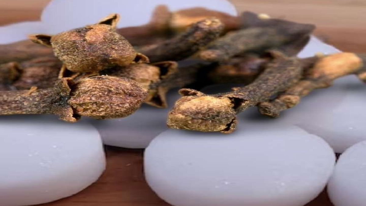 money plant pr kapur bandhne ki vidhi