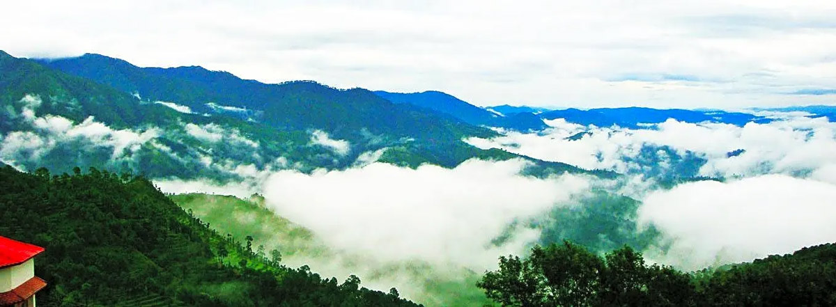 Why Marchula is famous