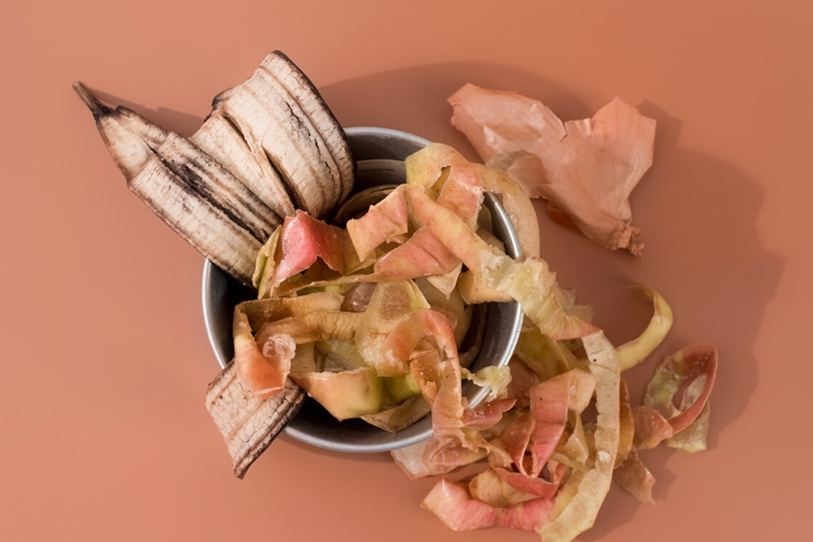 best homemade fertilizer