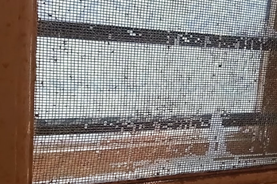 how to clean door net