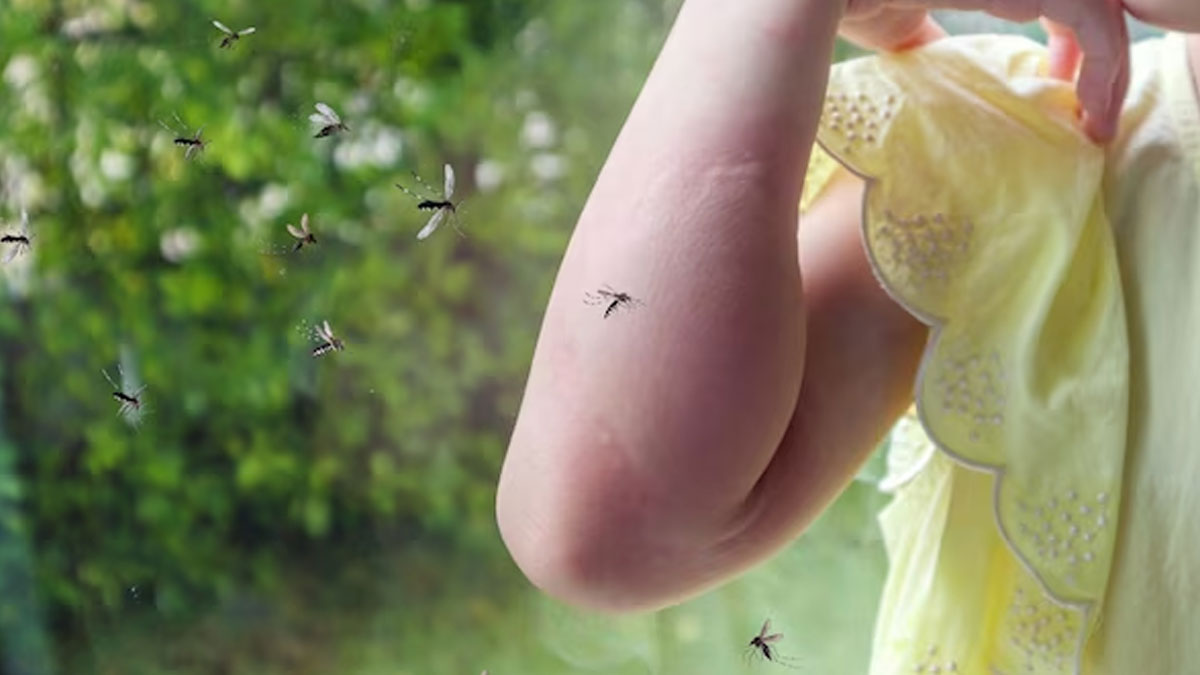 How to drive away mosquitoes