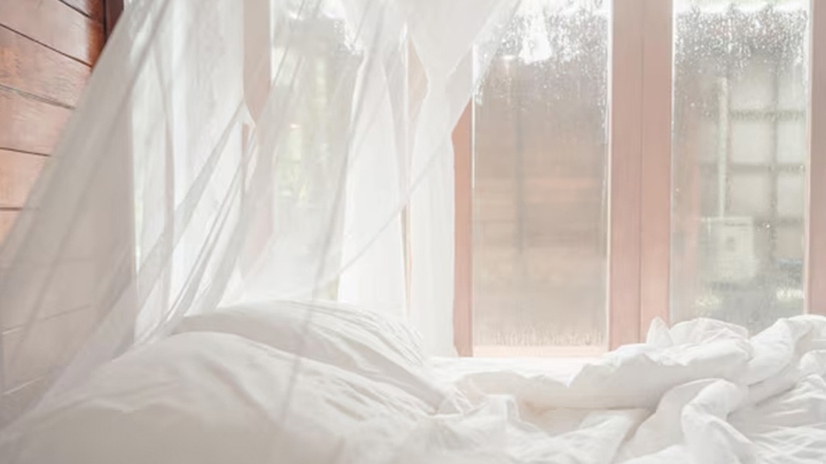 how to wash mosquito net