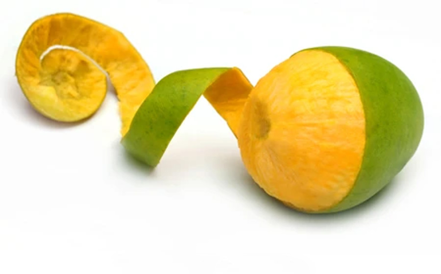 make vinegar with mango peel