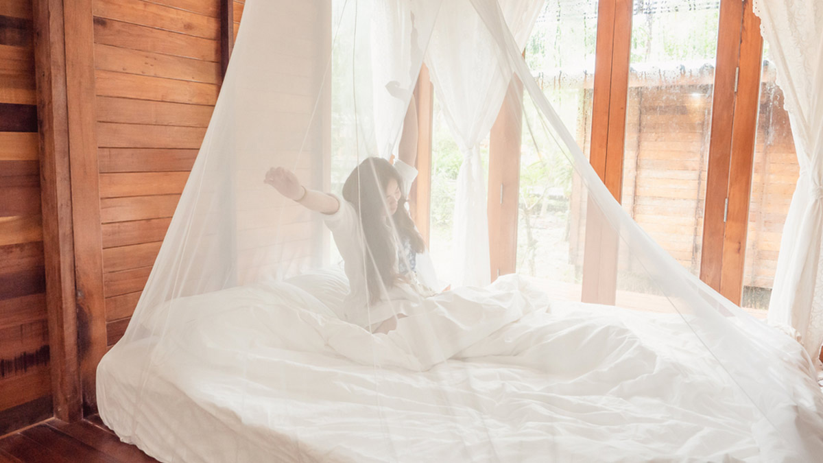 mosquito net cleaning tips in hindi