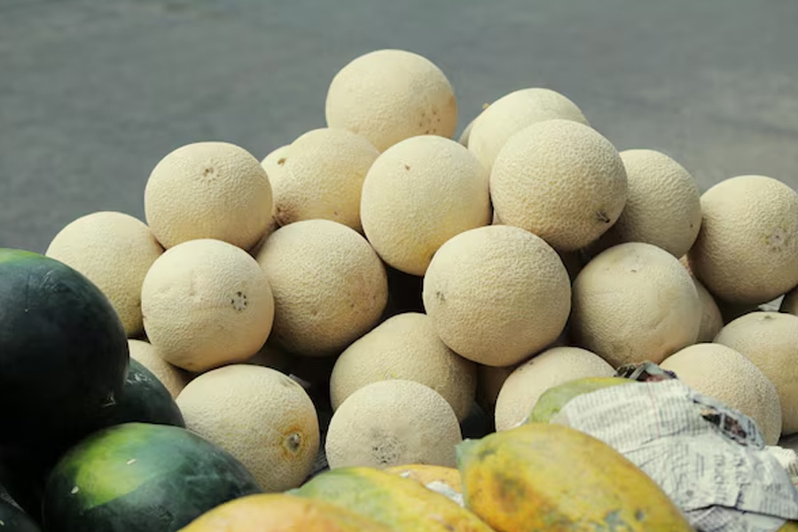 muskmelon identify tricks