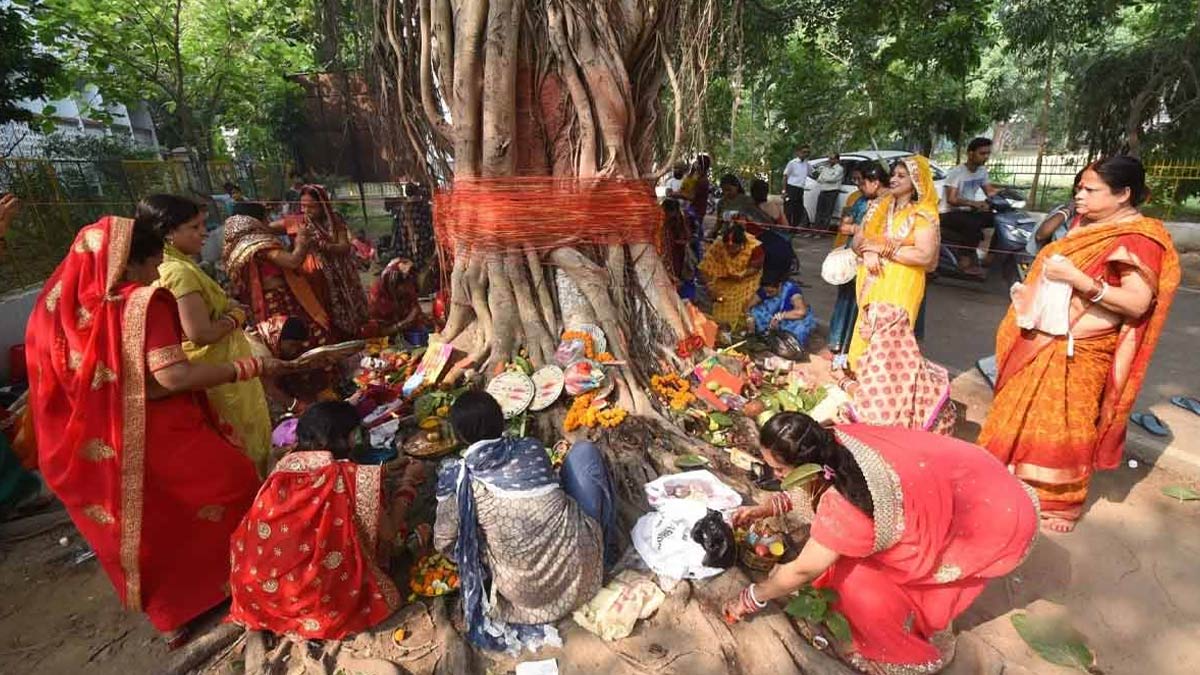 banyan tree tying red thread