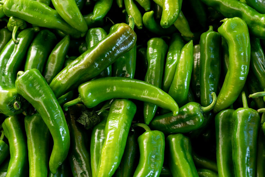 green chillies to remove weevils
