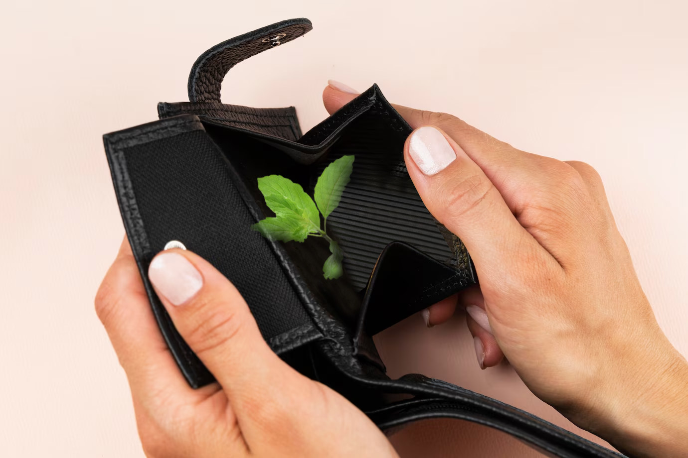 tulsi patta in wallet