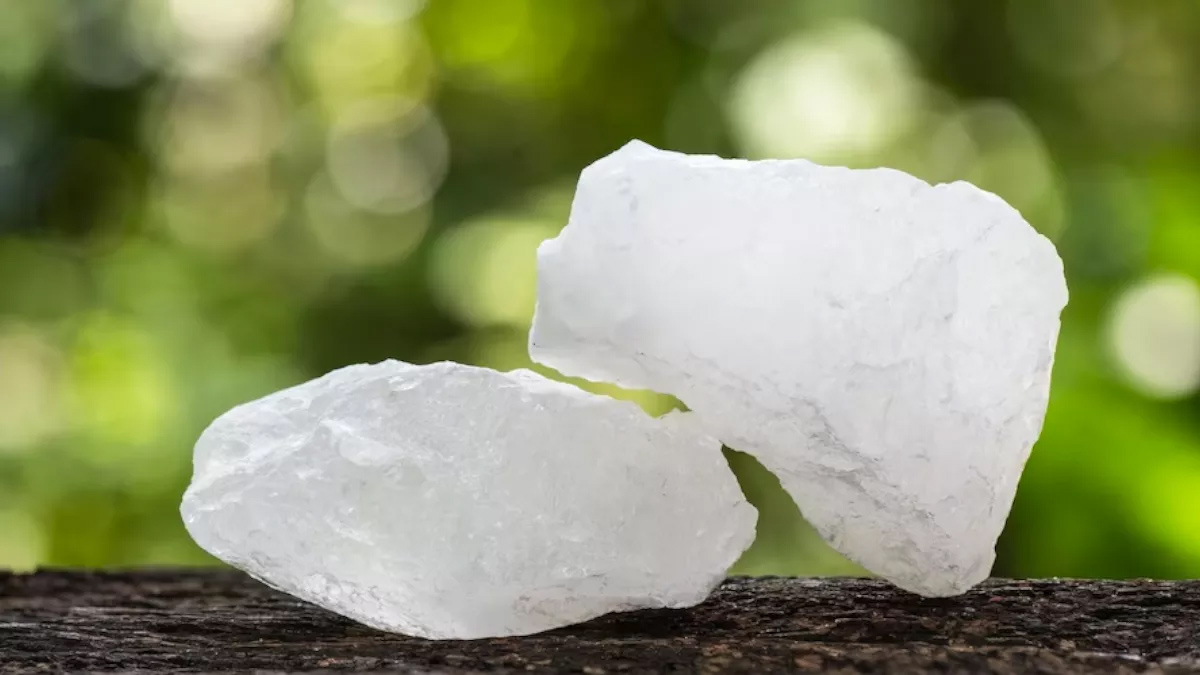 use fitkari for rice weevils