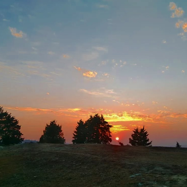 Best Places In Dhanachuli