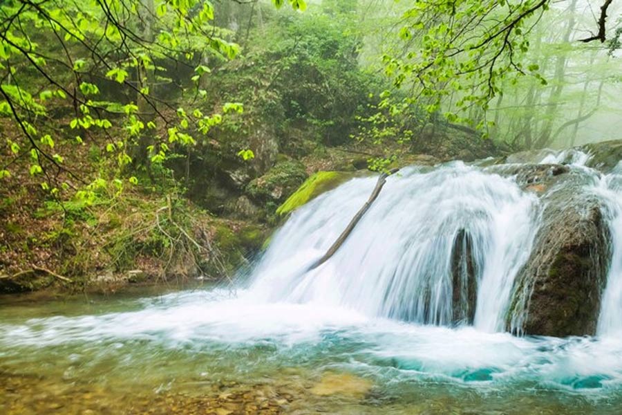 neergarh water fall in rishikesh