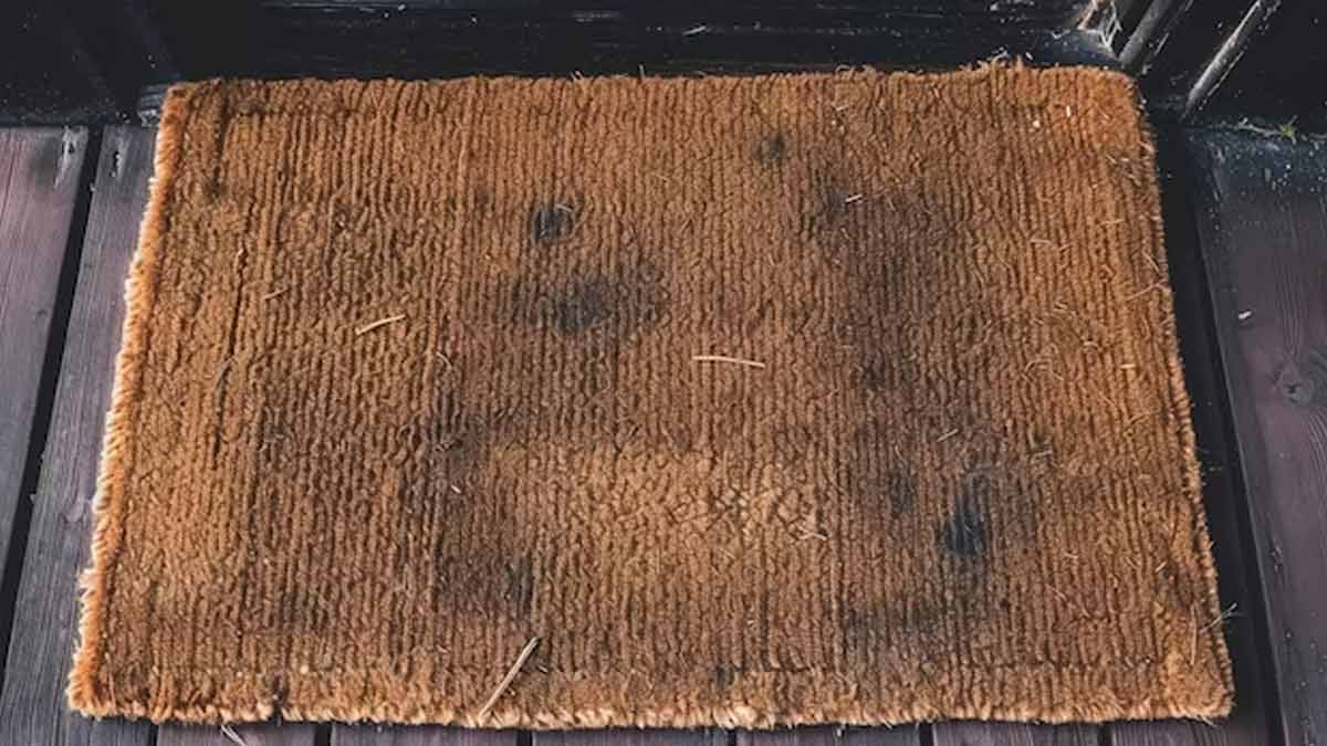 Clean the doormat like this