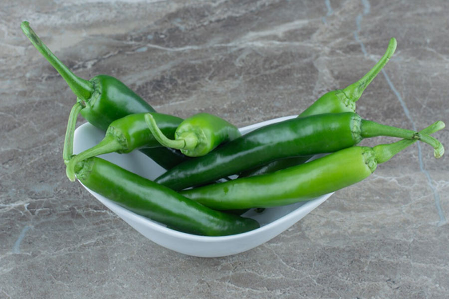Green chilli plant