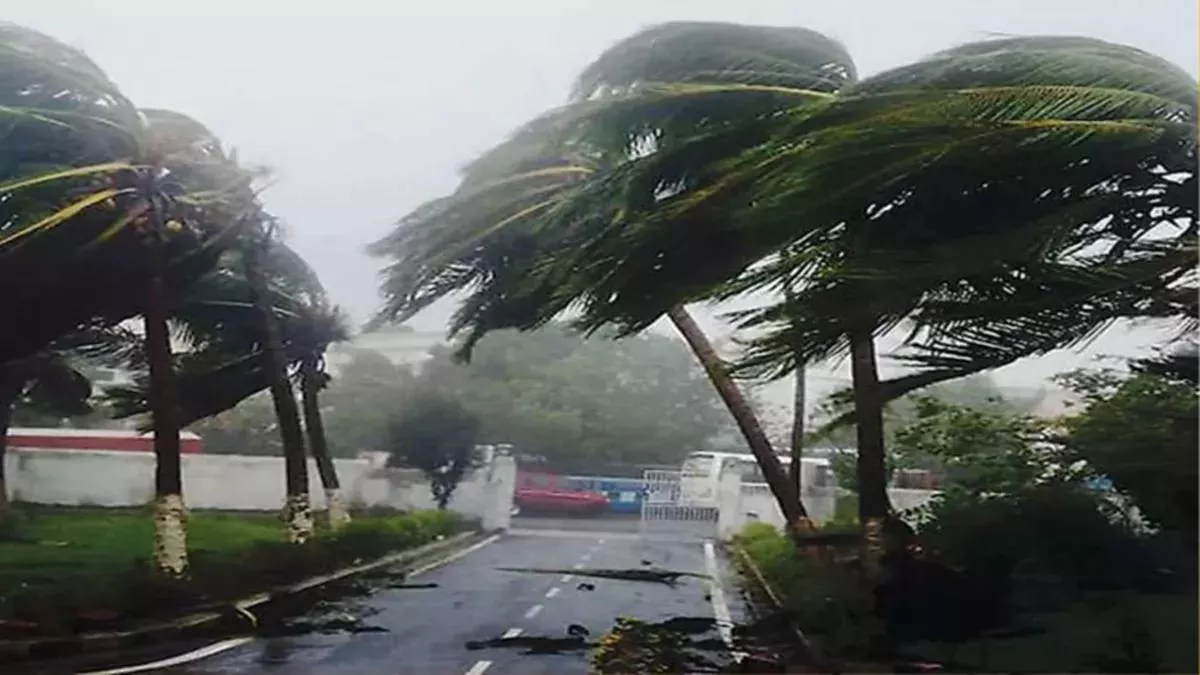 Urban trees cannot withstand the pressure of wind