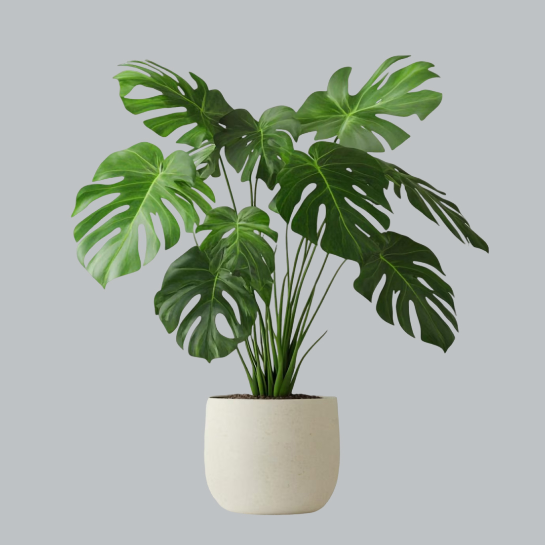 best way to dust artificial plants