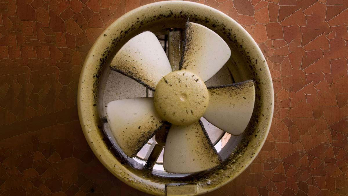 easy tricks to clean exhaust fan