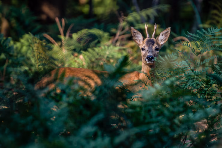 fun activity places in dehradun must visit with friendsDD