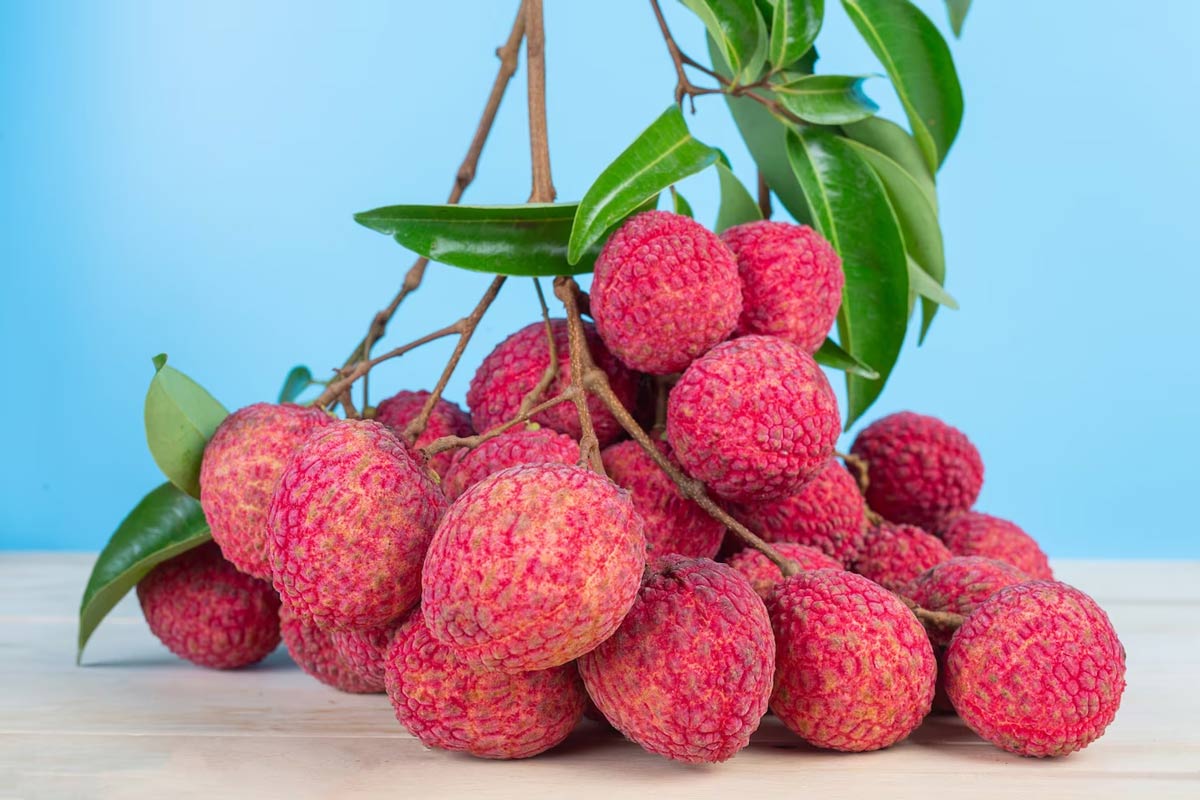 lychee