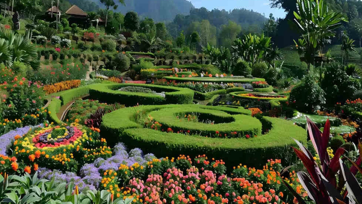 Where Is Chaubatia In Uttarakhand