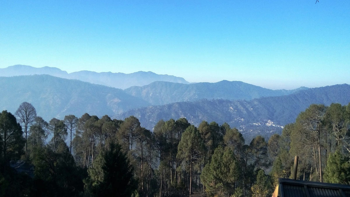 Why Chaubatia Is Famous For Travellers