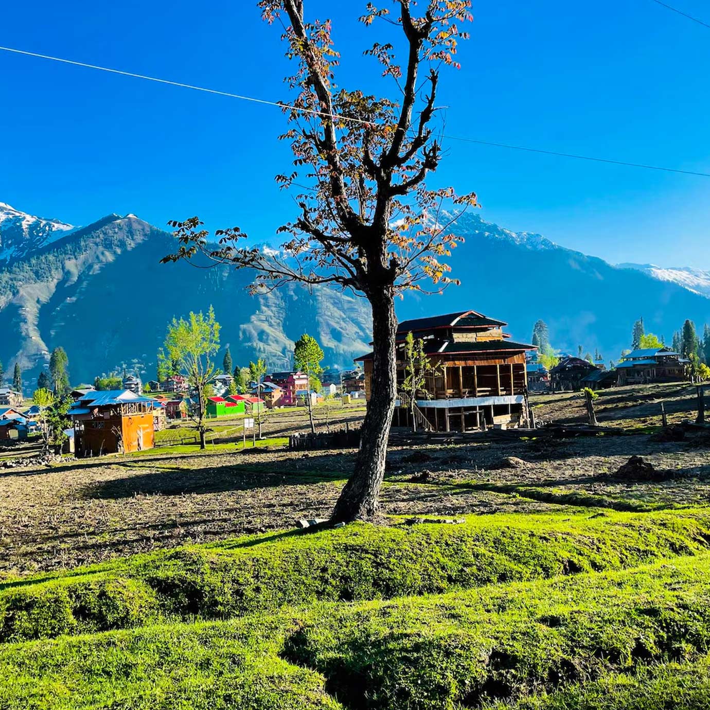 Why Narkanda Is Famous