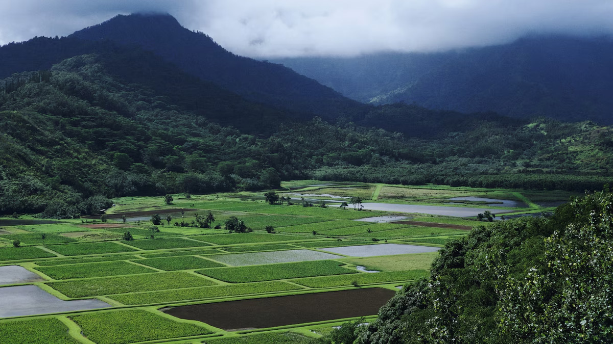 arunachal pradesh tour package