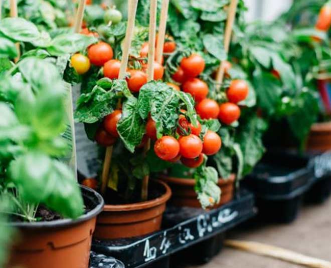 take care of these things