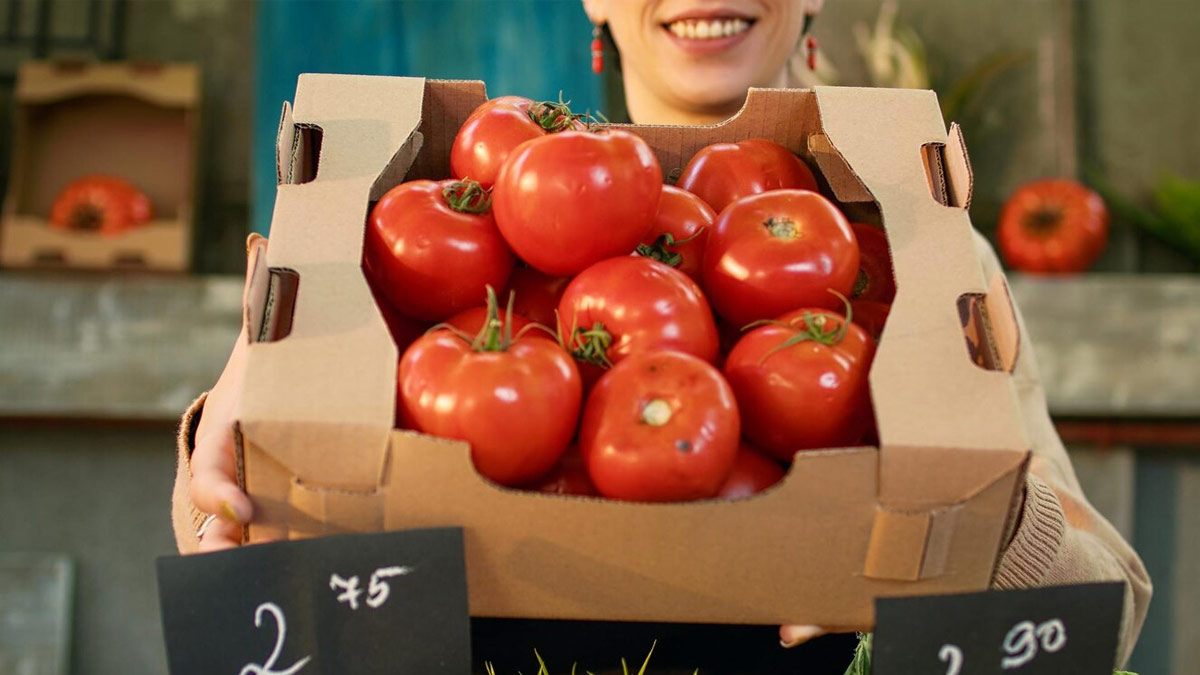 Best delhi markets you can buy fresh tomatoes (2)