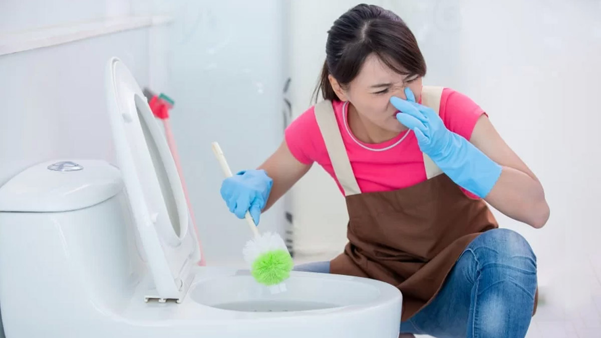 These things will remove the odor